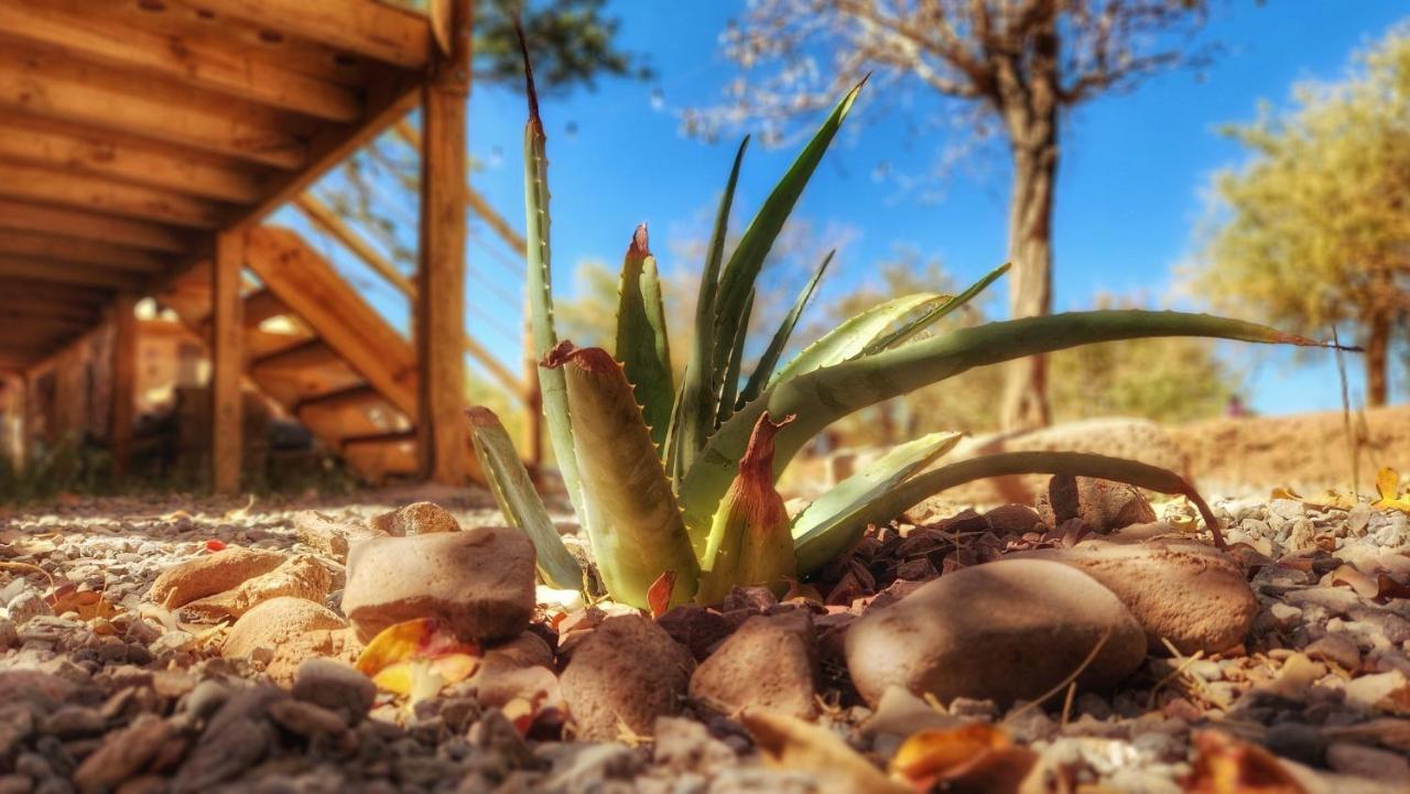 Glamping Dunas Del Sol San Pedro de Atacama Exteriér fotografie