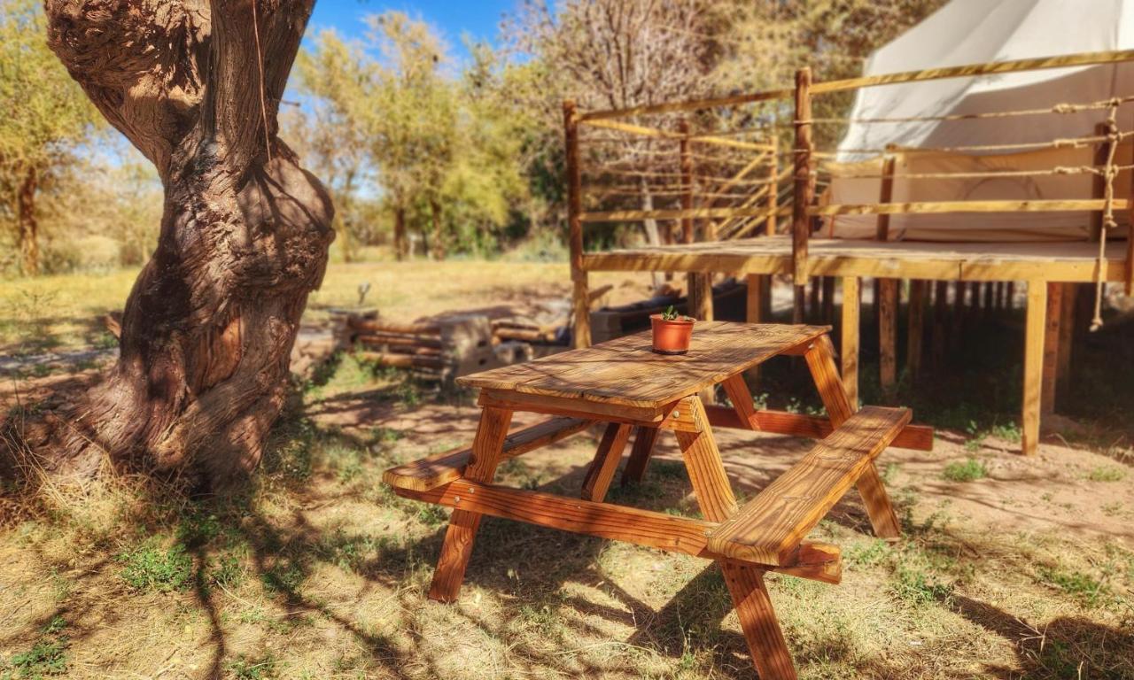 Glamping Dunas Del Sol San Pedro de Atacama Exteriér fotografie